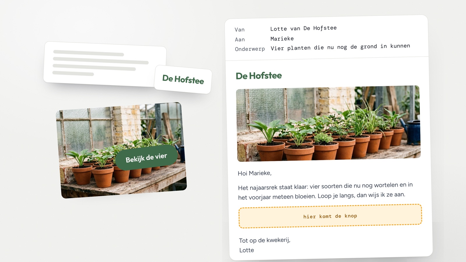 Een mail van kwekerij De Hofstee in opbouw: de tekst staat er al, met ernaast de losse bouwstenen, de naam van de zaak, een foto van de planten en een knop die nog boven zijn plek zweeft.